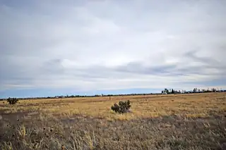 Lot 8 Willow Lake Road 