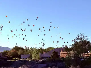 537 Dandelion Road View