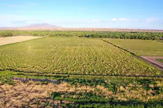 G and A Farm, Veguita 