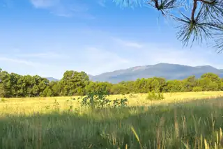 Subd: TORREON GRANT Tract: A-1, Torreon 