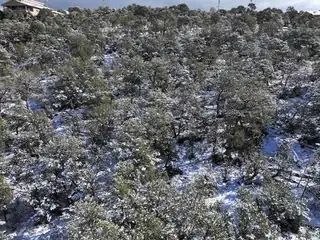 46 Camino Del Senador 