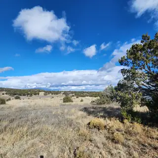 170 Indian Hills Road 