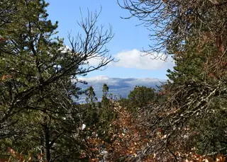 Magic Valley Road, Sandia Park 
