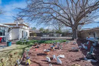6436 Colleen Avenue NE Backyard