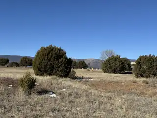 21 Richardland Drive 