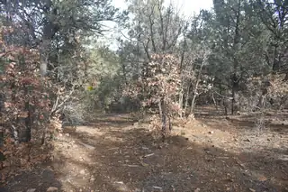 95 & 97 Entrada De Cibola 