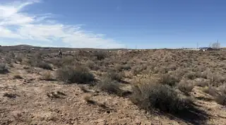 Oculus - Lot 16 Loop NE 