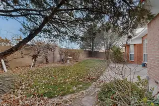 8404 Calle Adolanto NE Backyard