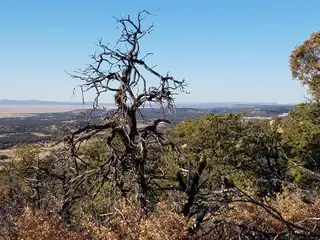 7 Cebolla Canyon Road 