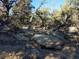 7 Cebolla Canyon Road 