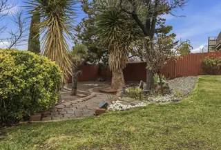 1713 Singletary Drive NE Backyard