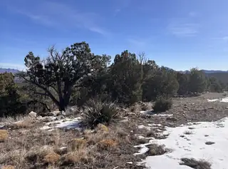 TBD Lot 6 Skyline Place 