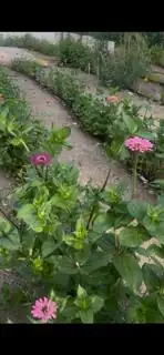 7433 El Morro Road NE Kitchen