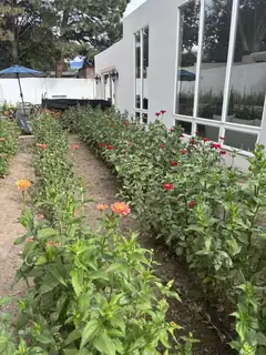 7433 El Morro Road NE Backyard