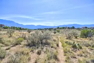 1239 Rockrose Road NE 