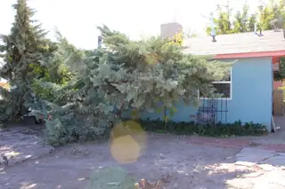 603 Coulson Drive Exterior Other