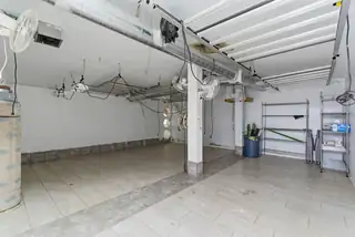 10803 Edith Boulevard NE 