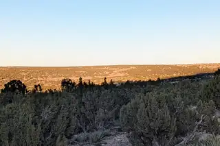 1151 Deer Canyon Trail 