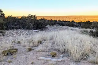 1151 Deer Canyon Trail 