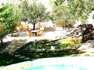 9705 Coneflower Drive NW Backyard