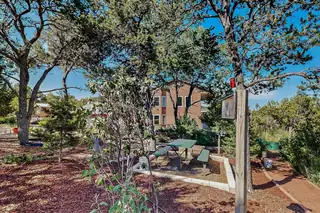 14 Asher Lane Backyard