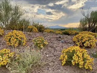 ranchos de veguita 14 lot 4b 