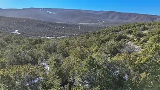 SAN PEDRO CREEK ESTATES 3 Lot7 