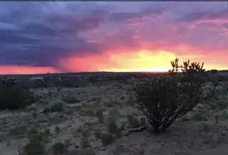 5225 Chopin Road NE View