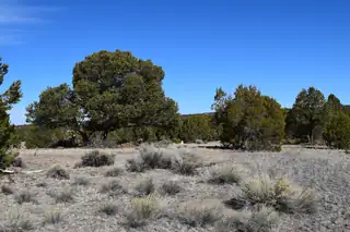 55 Pinewood Circle, Pie Town 