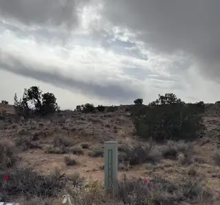 2309 DESERT MARIGOLD Road NE 