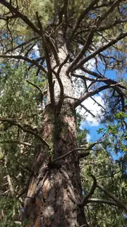 56 Carolino Canyon Road 