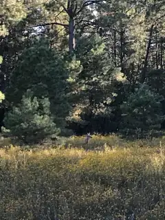 56 Carolino Canyon Road 