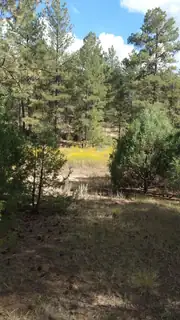 56 Carolino Canyon Road 