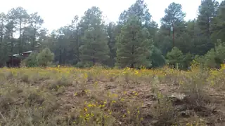 56 Carolino Canyon Road 