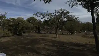 101 Chuck Wagon Lane 