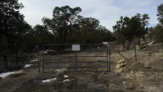 101 Chuck Wagon Lane 