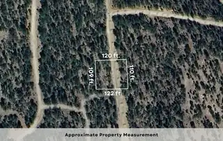 113 Thunderbird Drive 