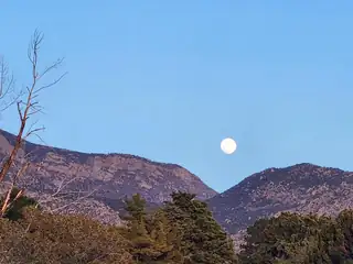 1921 Chelwood Park Boulevard NE View