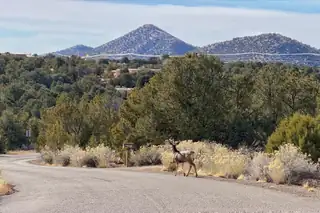 64 Cibola Circle View