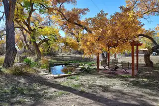 373 Bosque Acres Road Backyard