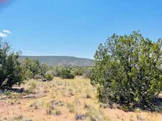 239 Moonlight Ridge Road Lot 101 