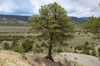 TBD 200 County Rd 13 Road 