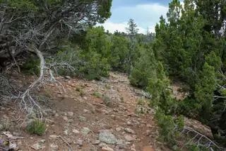 TBD 200 County Rd 13 Road 