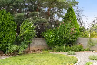 11308 Kielich Avenue NE Backyard