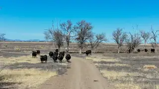 TBD W Alan Ayers Avenue 