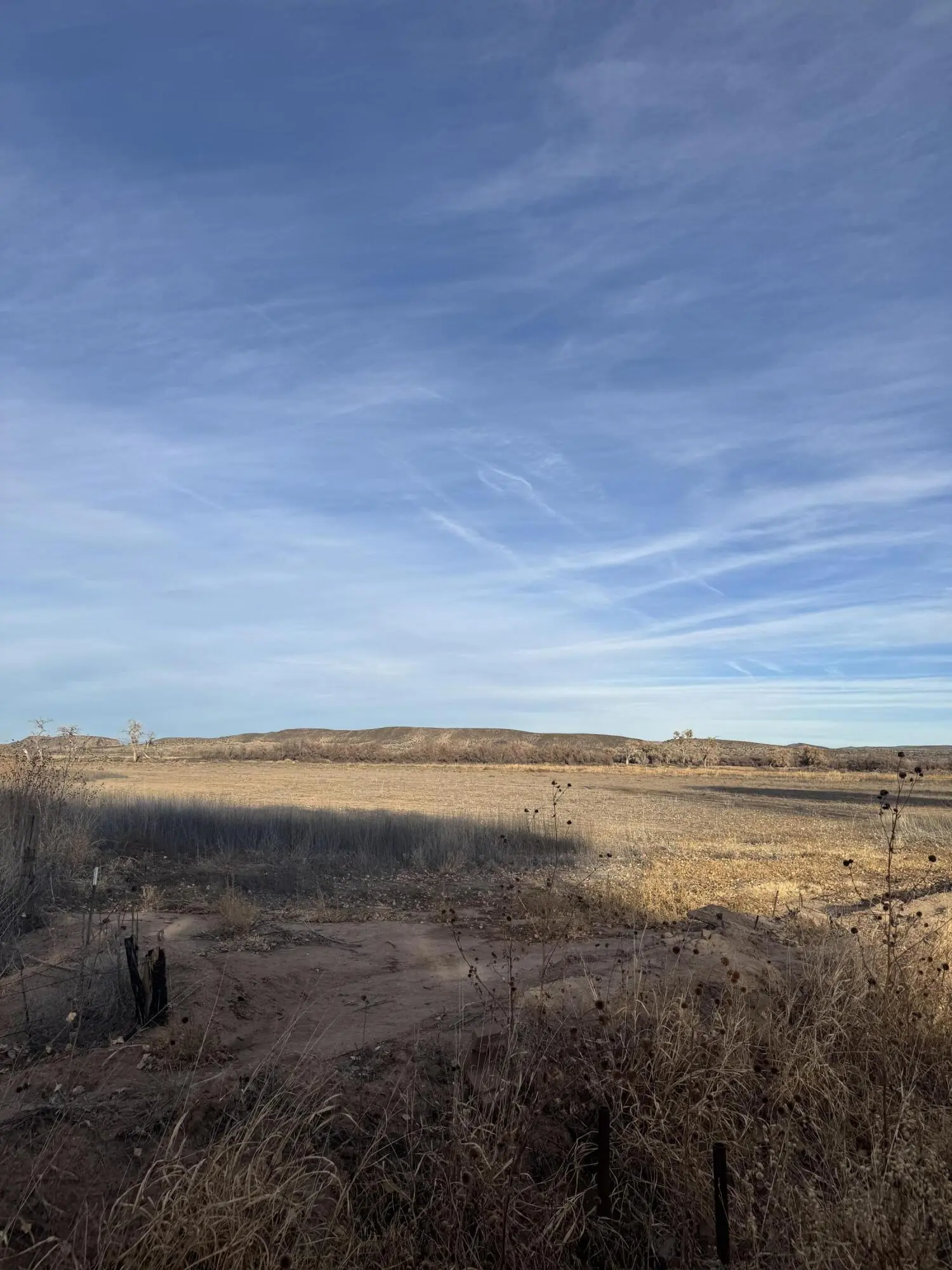 13.47ACRES Hemingway Loop