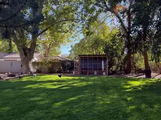 810 Solar Road NW Backyard