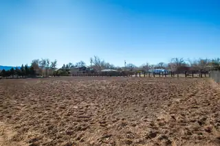 183 La Pasada De Anacleto 