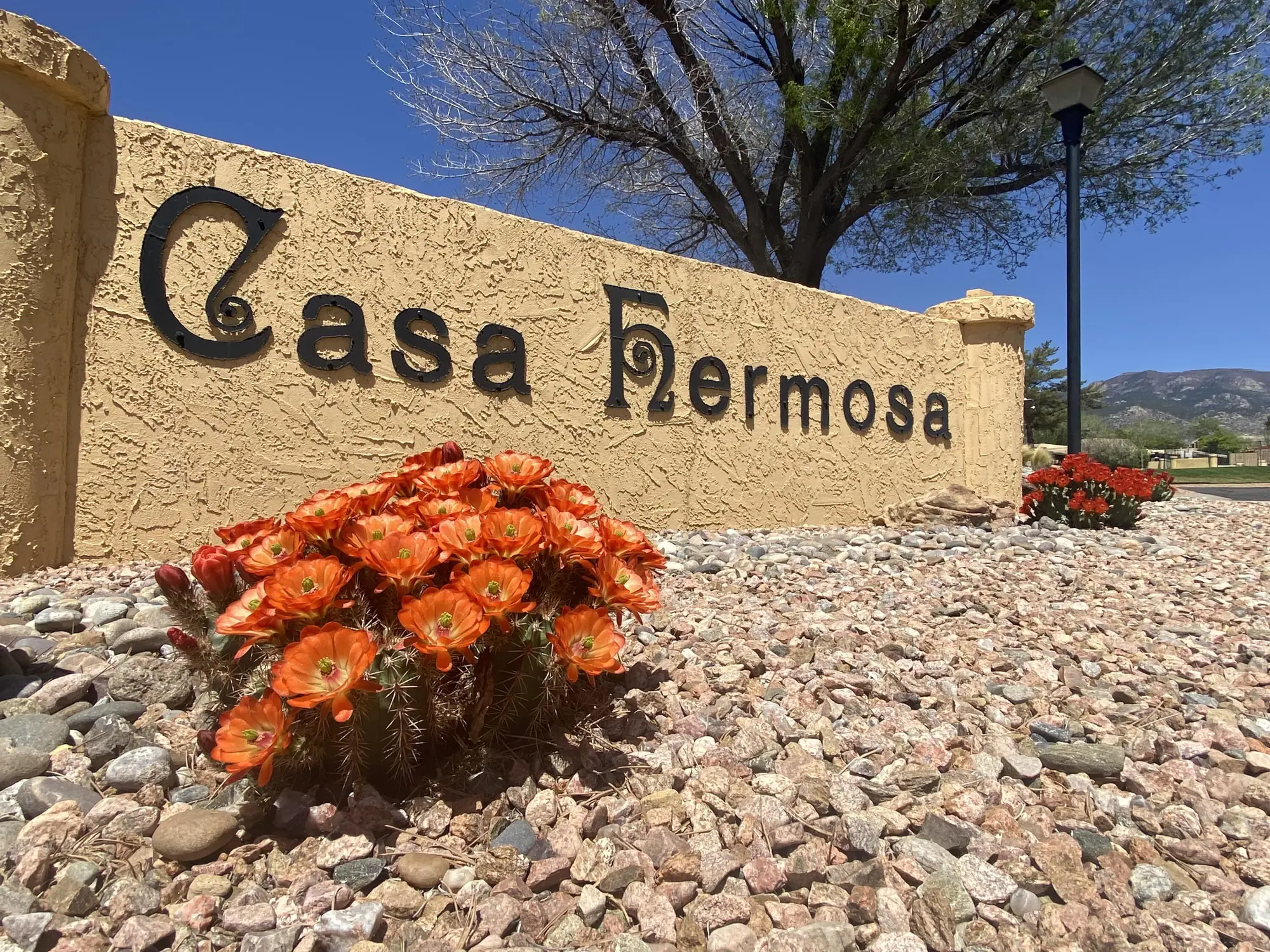14 Casa Hermosa Drive NE
