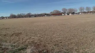 Camino Torres Road SW 